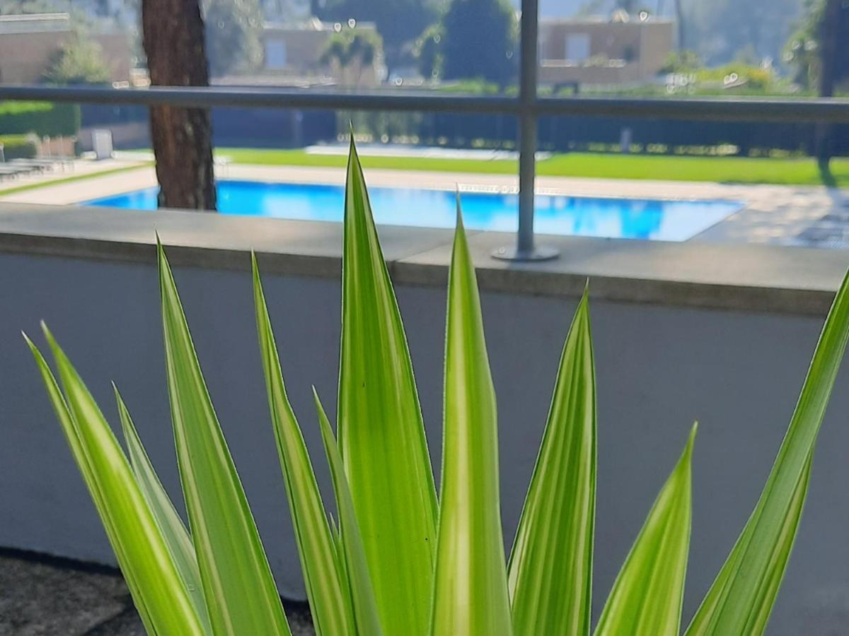 Barca House - Nature - Golf - Pool & Beach Esposende Exterior photo
